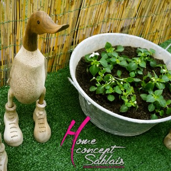 home-staging-home-concept-sablais-canard-en-bois-bassine-en-zinc-avec-plantes